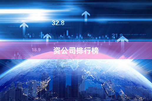 资公司排行榜