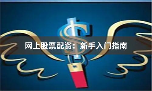 网上股票配资：新手入门指南